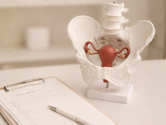 Pelvic Organ Prolapse: Signs, Stages & Treatment Options in India