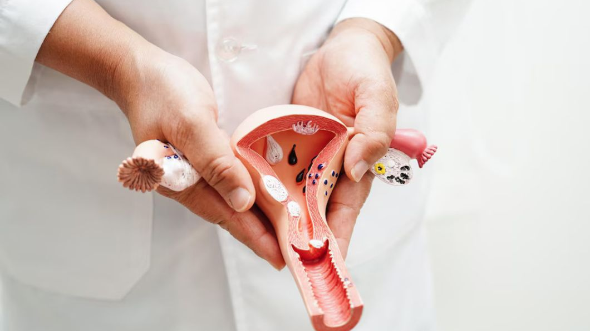 vaginismus treatment in india